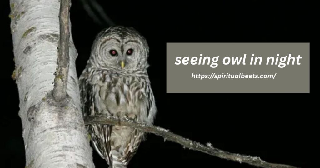 seeing owl in night