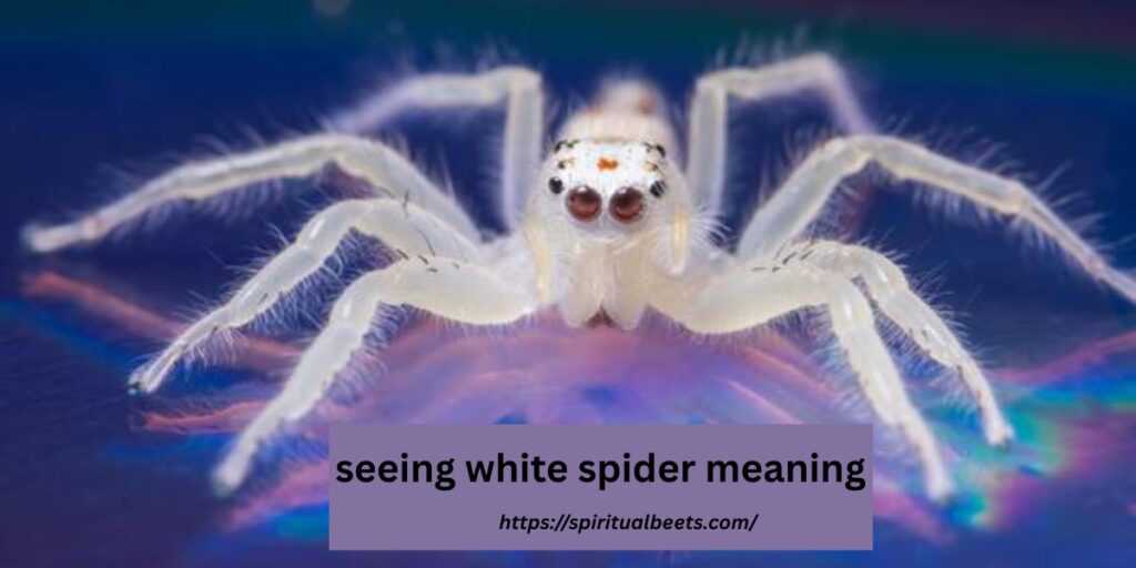 seeing white spider meaning