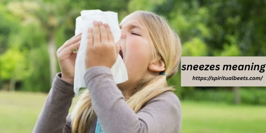 sneezes meaning