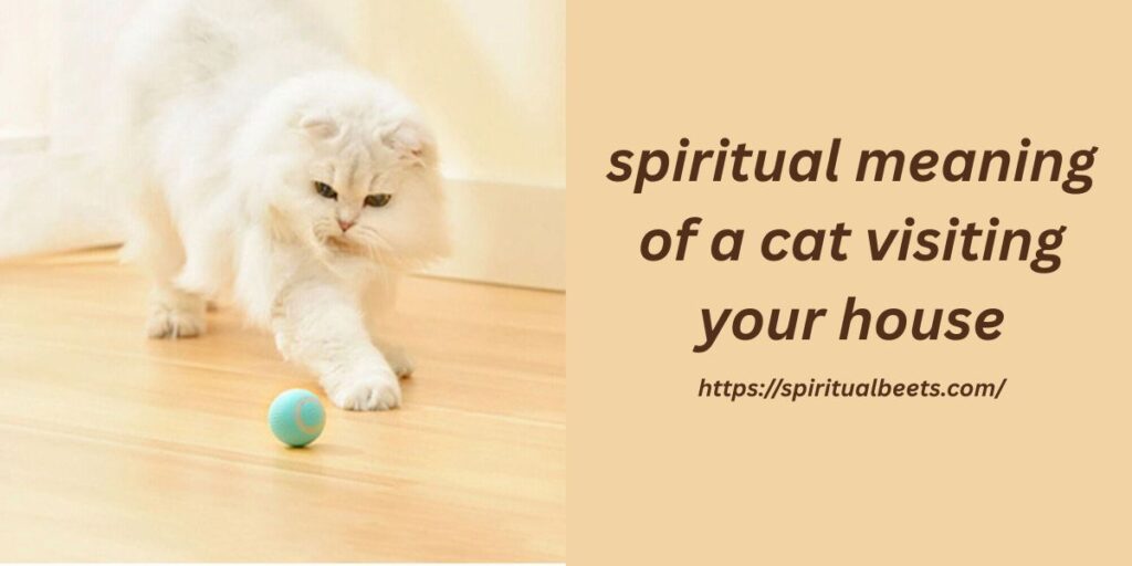 spiritual meaning of a cat visiting your house