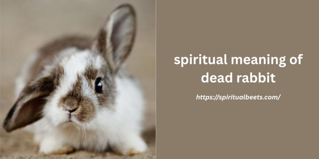 spiritual meaning of dead rabbit