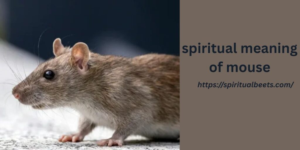 spiritual meaning of mouse