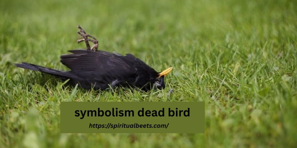 symbolism dead bird
