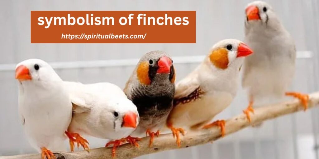 symbolism of finches