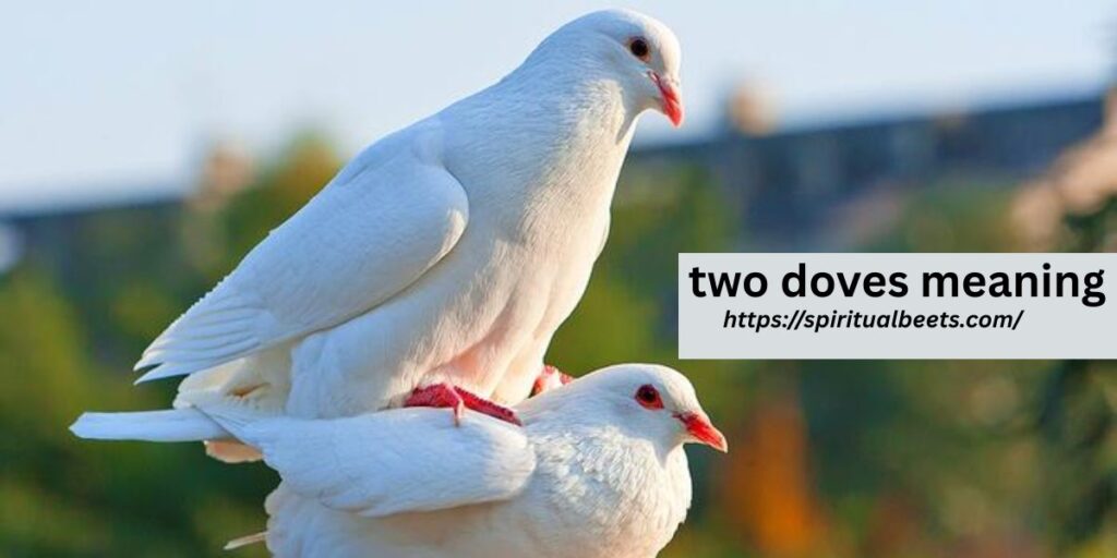 two doves meaning