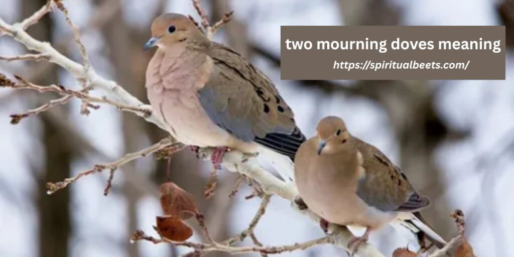 two mourning doves meaning