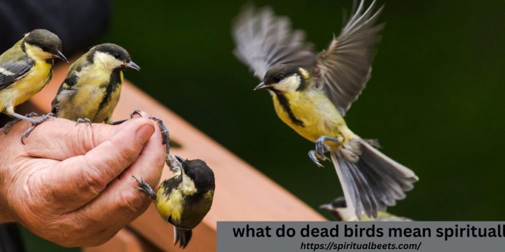 what do dead birds mean spiritually