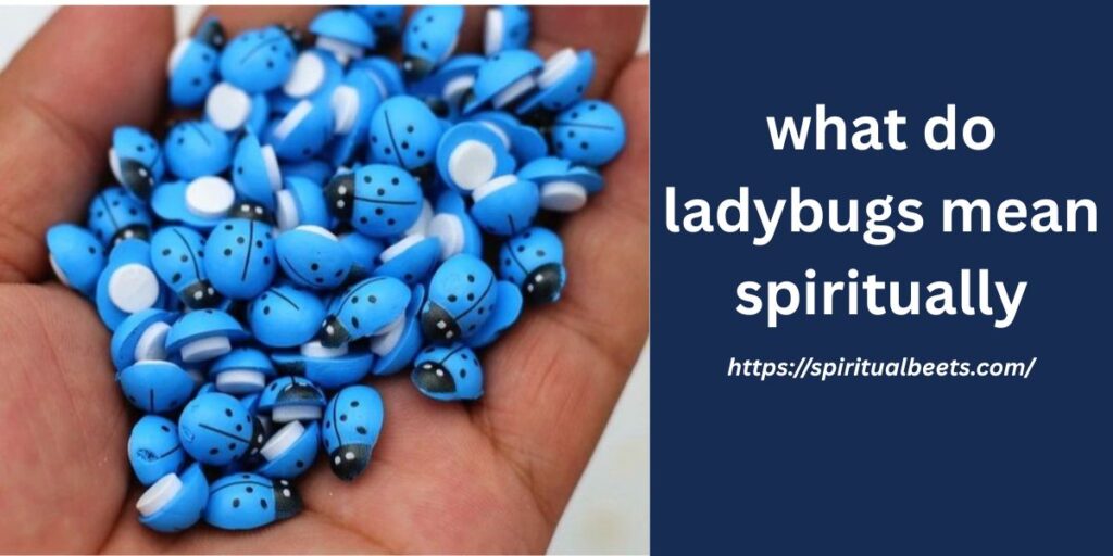 what do ladybugs mean spiritually