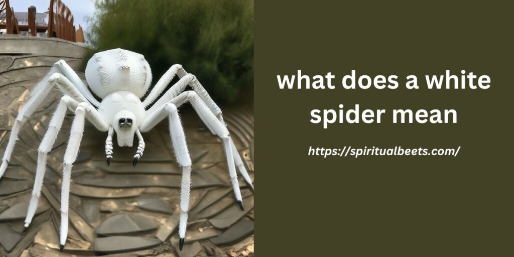what does a white spider mean
