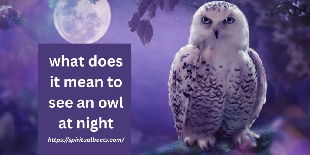 what does it mean to see an owl at night