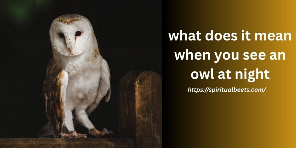 what does it mean when you see an owl at night