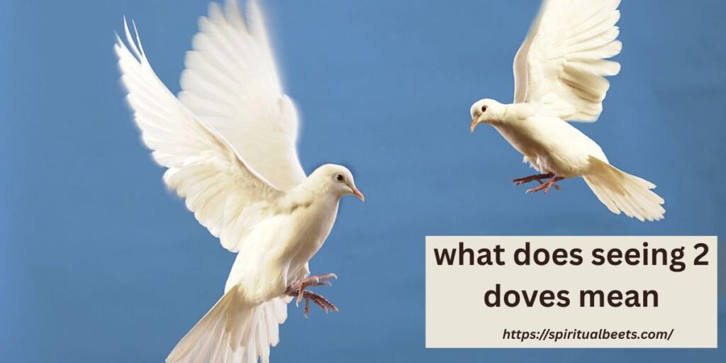 what does seeing 2 doves mean
