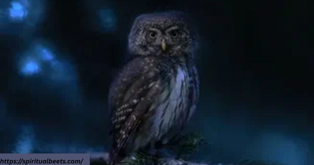 what does seeing an owl at night mean