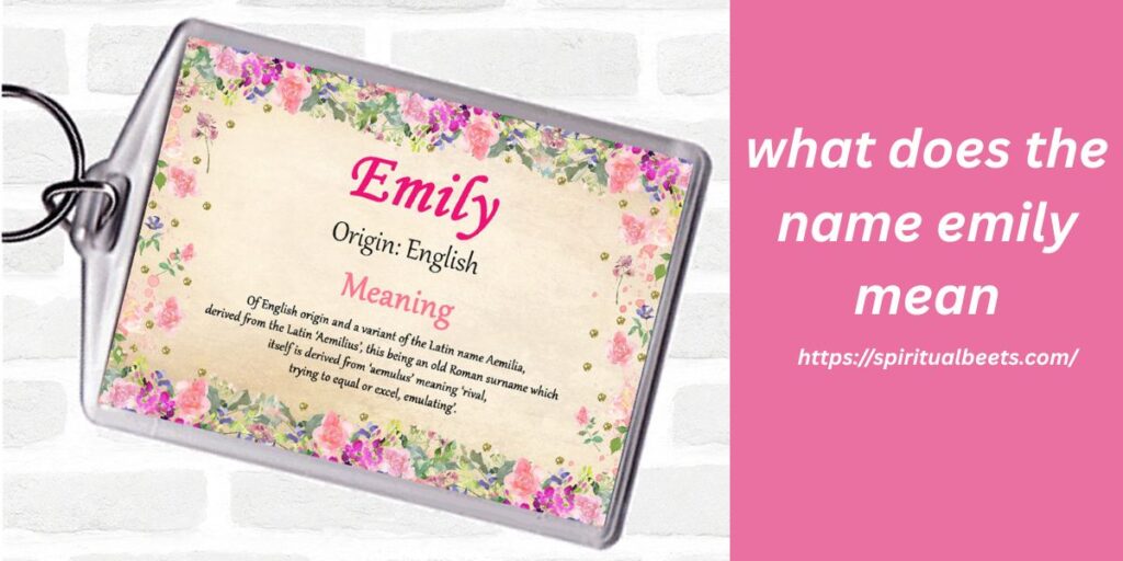 what does the name emily mean