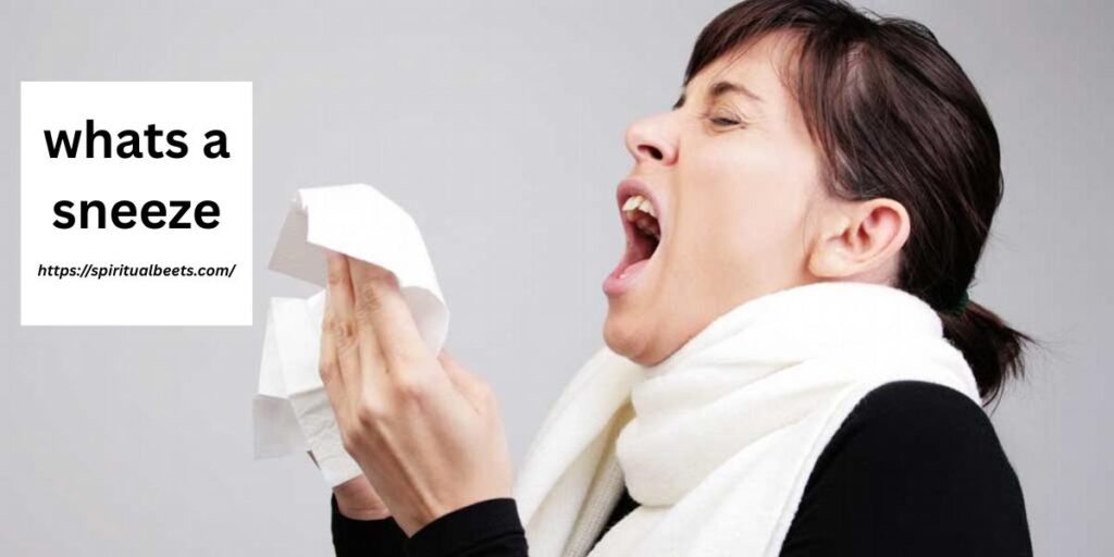 whats a sneeze