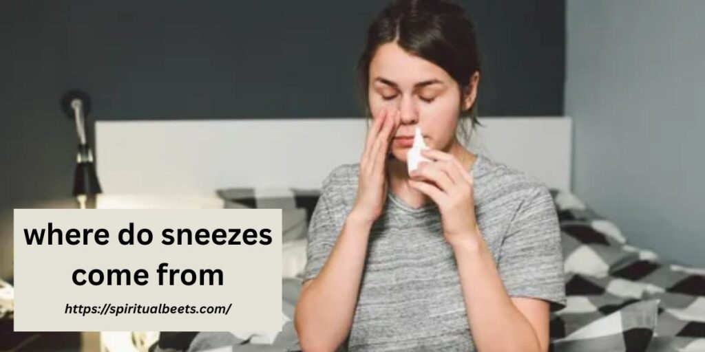 where do sneezes come from
