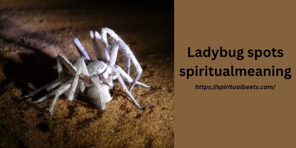 Ladybug spots spiritual meaning