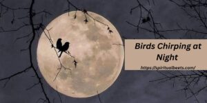 Birds Chirping At Night Spiritual Meaning- Spiritual Beets