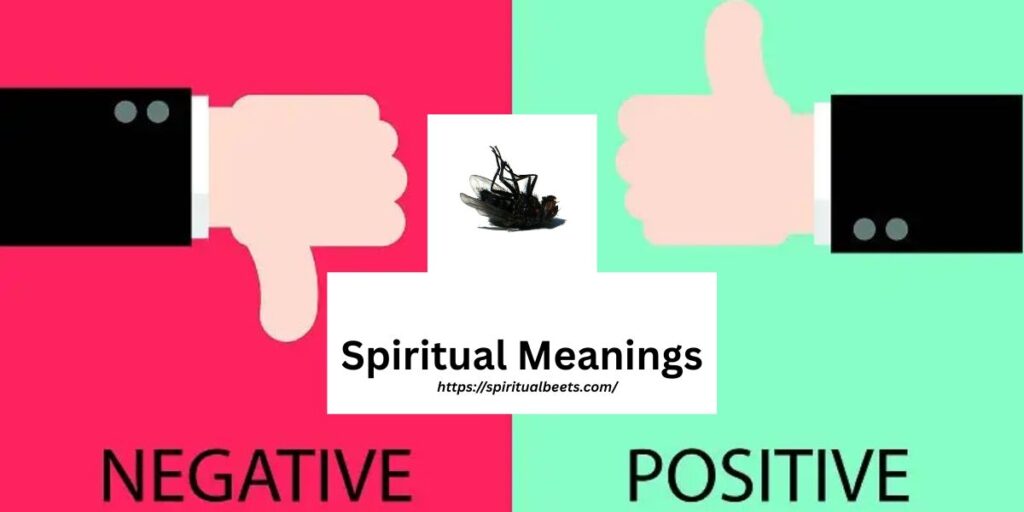 Both Positive and Negative Spiritual Meanings
