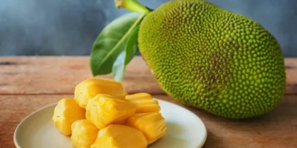 Career and Personal Ambition in Jackfruit Dreams