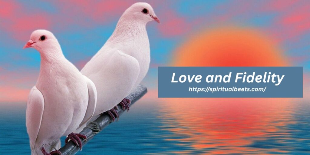 Love and Fidelity