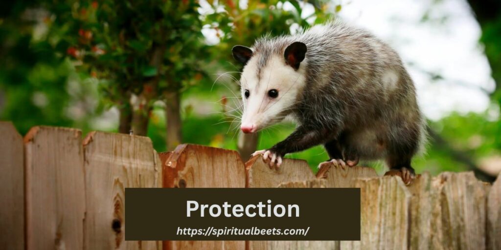 Protection
