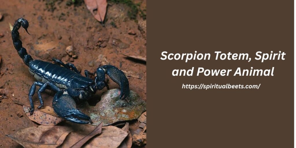 Scorpion Totem, Spirit and Power Animal