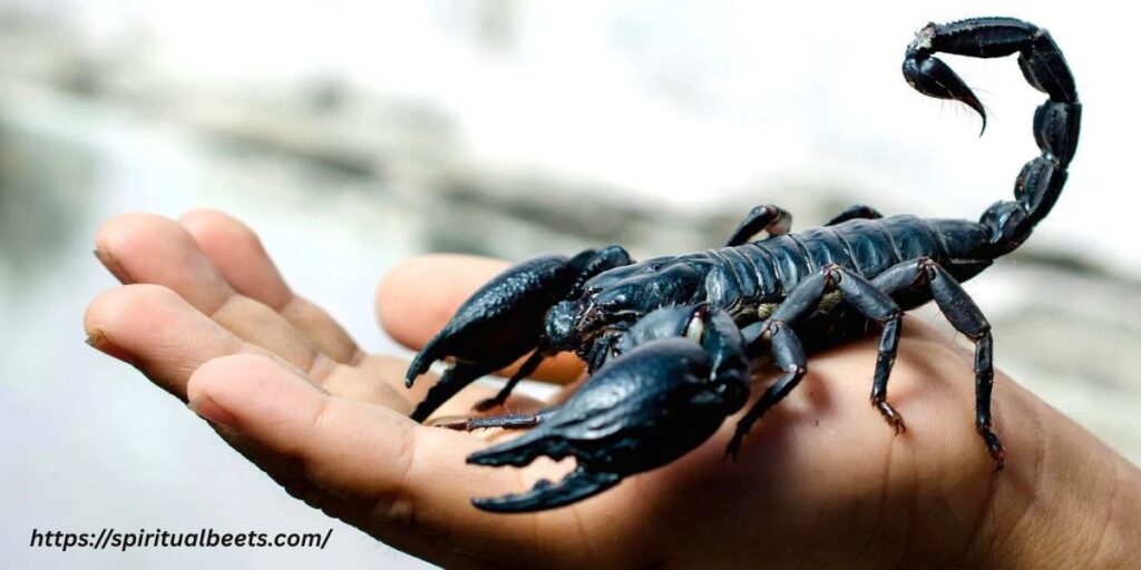 Scorpion spiritual meaning Bible