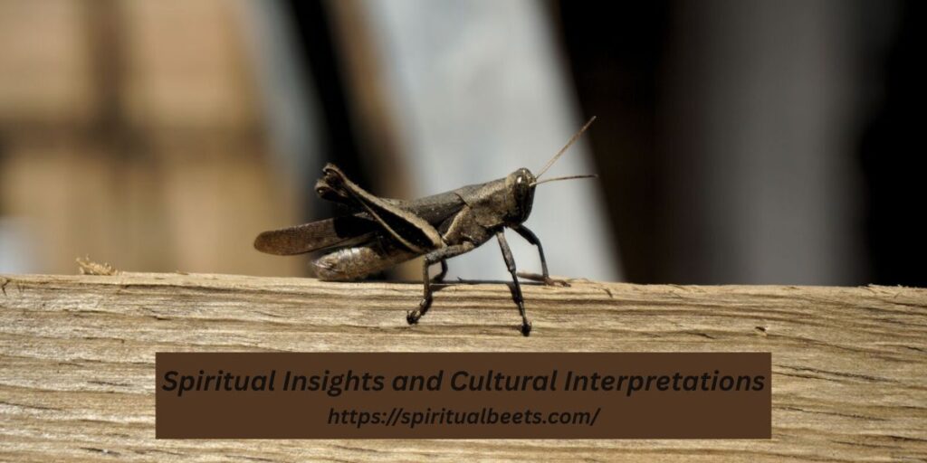 Spiritual Insights and Cultural Interpretations