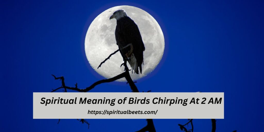 Spiritual Meaning of Birds Chirping At 2 AM