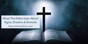 What The Bible Says About Signs, Dreams & Animals