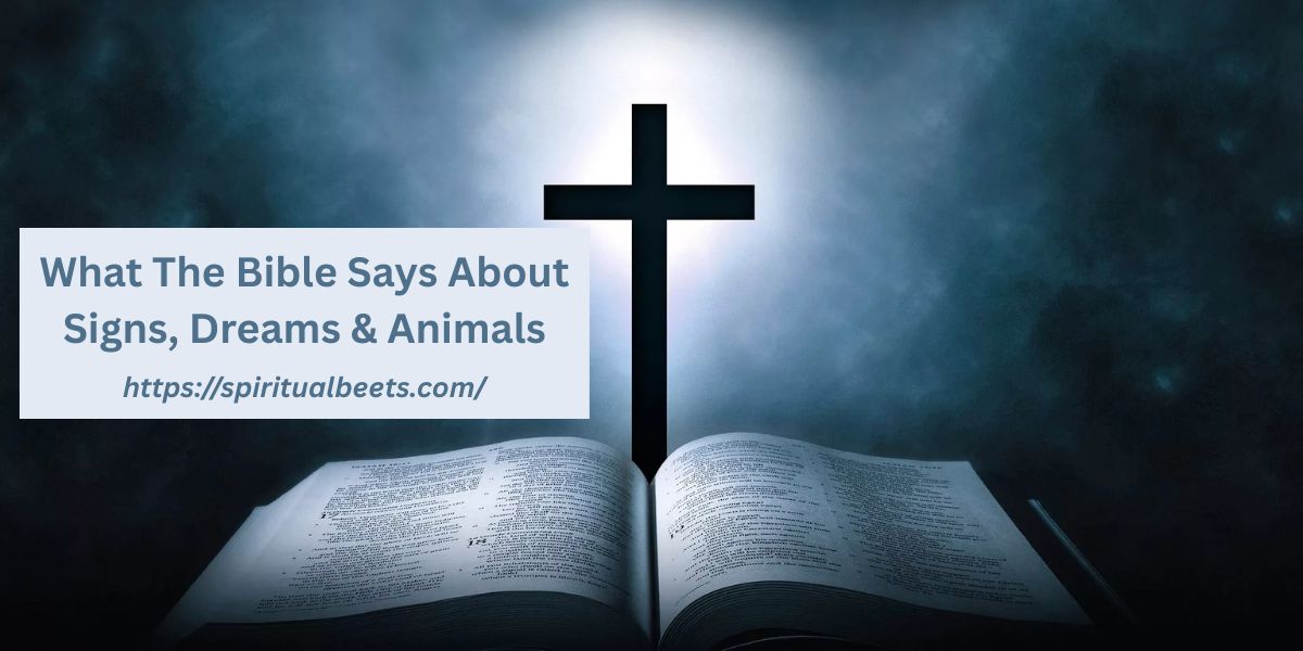 What The Bible Says About Signs, Dreams & Animals