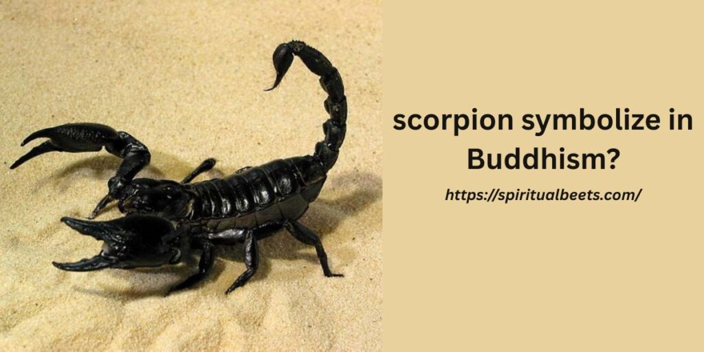What does the scorpion symbolize in Buddhism?