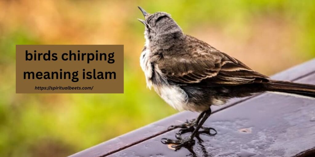 birds chirping meaning islam