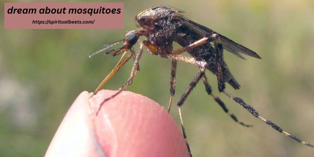 dream about mosquitoes