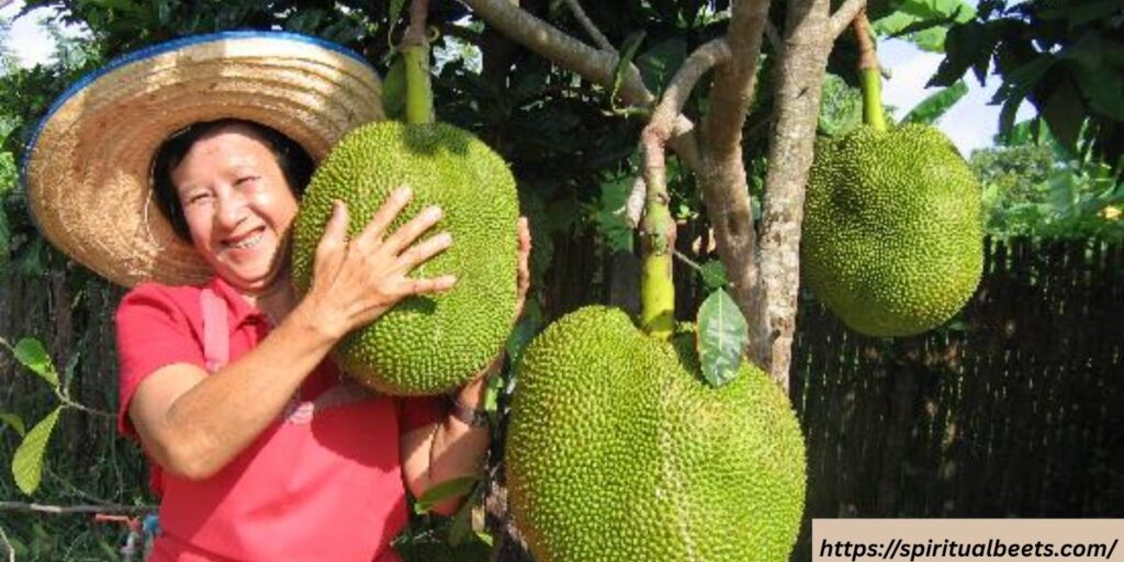 dream of jackfruit spiritual meaning