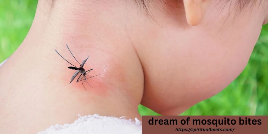 dream of mosquito bites