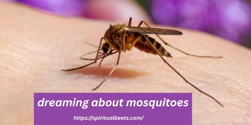 dreaming about mosquitoes