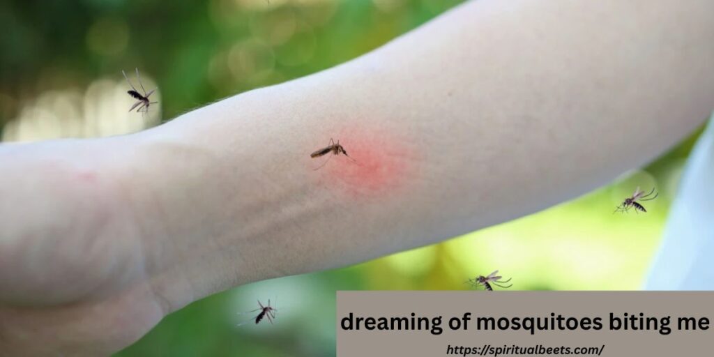 dreaming of mosquitoes biting me