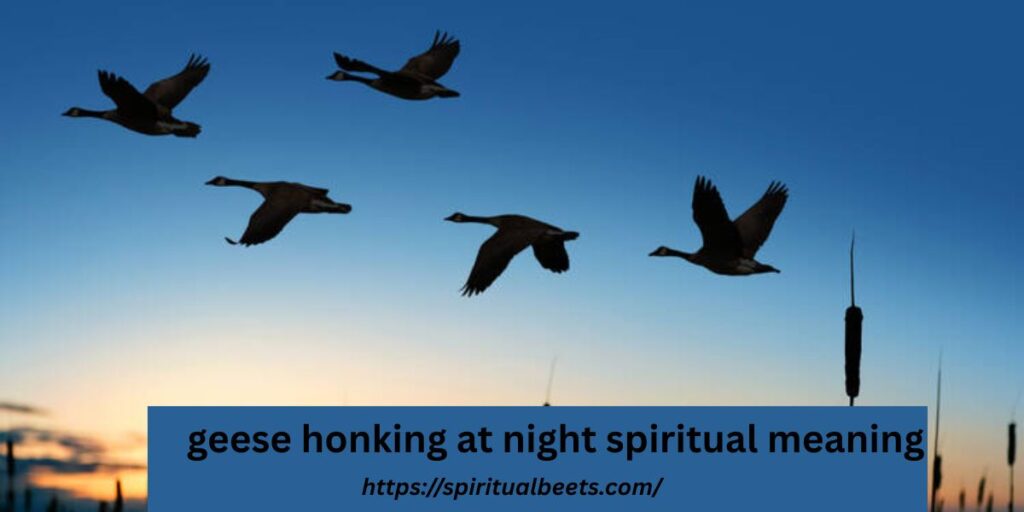 geese honking at night spiritual meaning