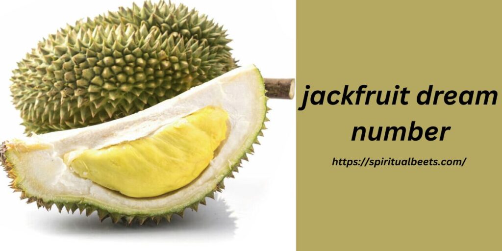 jackfruit dream number