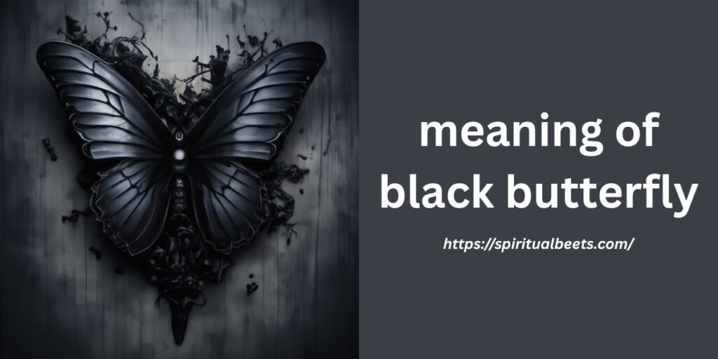 meaning of black butterfly