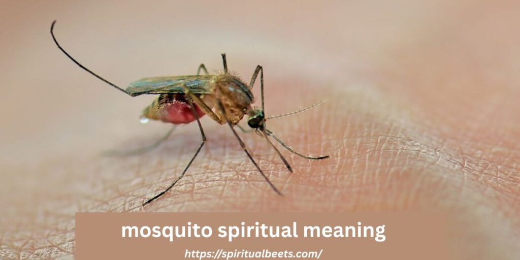 mosquito spiritual meaning