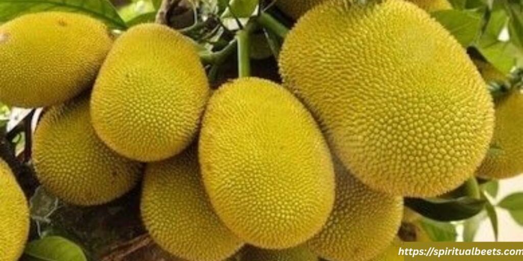 what if we see jackfruit in dream