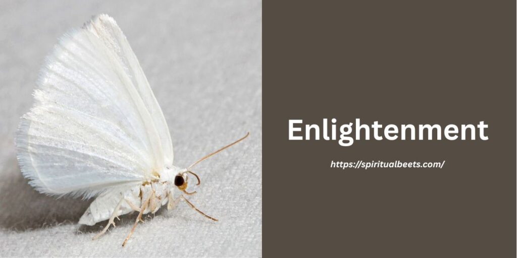 Enlightenment