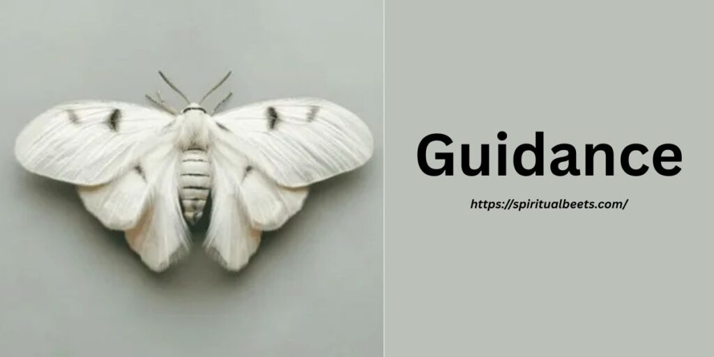 Guidance