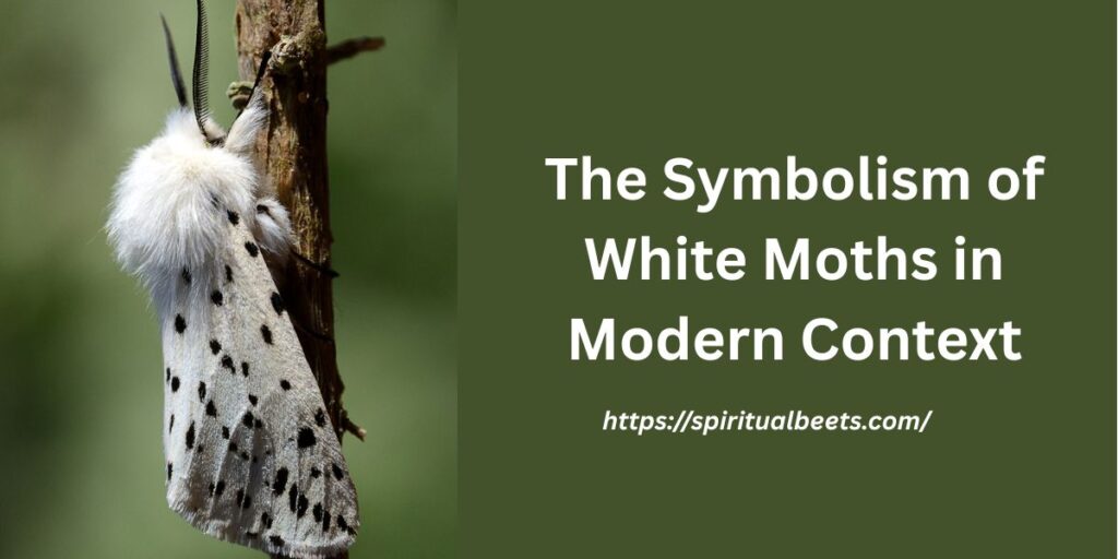 The Symbolism of White Moths in Modern Context