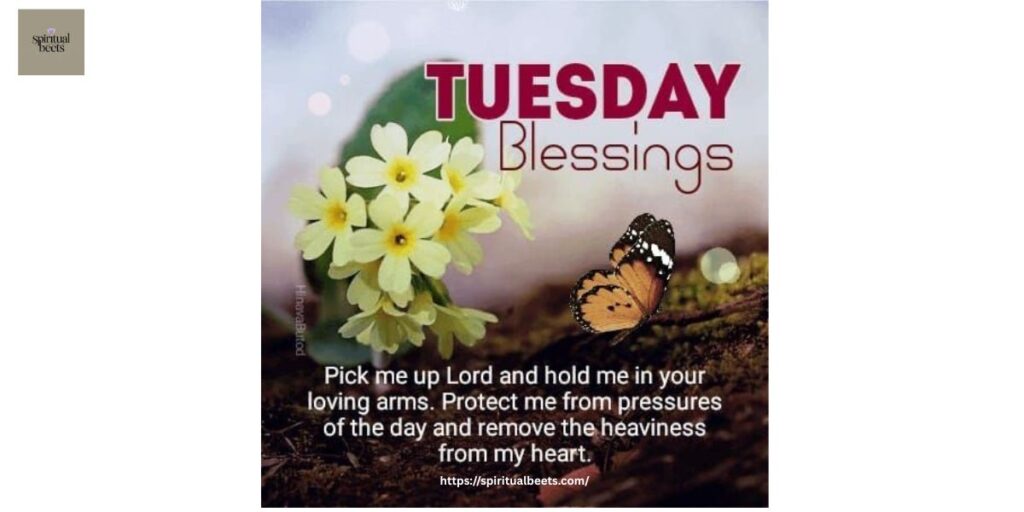 Warm Wishes for a Blessed Tuesday